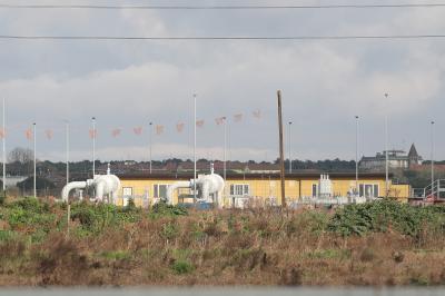 RAVENNA 26/02/2025. PARCO PUNTA MARINA TERME. Punta Marina: via libera del Comune al progetto di rinaturalizzazione che sarà realizzato da Snam nell’ambito degli accordi sul rigassificatore