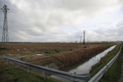 RAVENNA 26/02/2025. PARCO PUNTA MARINA TERME. Punta Marina: via libera del Comune al progetto di rinaturalizzazione che sarà realizzato da Snam nell’ambito degli accordi sul rigassificatore