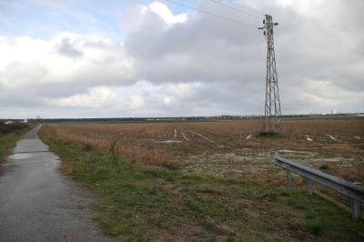 RAVENNA 26/02/2025. PARCO PUNTA MARINA TERME. Punta Marina: via libera del Comune al progetto di rinaturalizzazione che sarà realizzato da Snam nell’ambito degli accordi sul rigassificatore