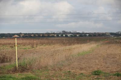 RAVENNA 26/02/2025. PARCO PUNTA MARINA TERME. Punta Marina: via libera del Comune al progetto di rinaturalizzazione che sarà realizzato da Snam nell’ambito degli accordi sul rigassificatore