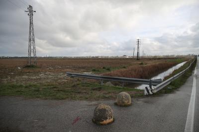 RAVENNA 26/02/2025. PARCO PUNTA MARINA TERME. Punta Marina: via libera del Comune al progetto di rinaturalizzazione che sarà realizzato da Snam nell’ambito degli accordi sul rigassificatore