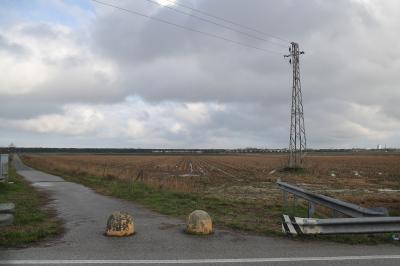 RAVENNA 26/02/2025. PARCO PUNTA MARINA TERME. Punta Marina: via libera del Comune al progetto di rinaturalizzazione che sarà realizzato da Snam nell’ambito degli accordi sul rigassificatore