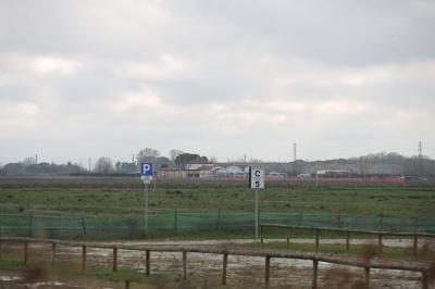 RAVENNA 26/02/2025. PARCO PUNTA MARINA TERME. Punta Marina: via libera del Comune al progetto di rinaturalizzazione che sarà realizzato da Snam nell’ambito degli accordi sul rigassificatore